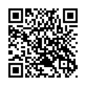 To view this 2009 Hyundai Santa Fe North Kansas City MO from Drive Now Auto Credit, please scan this QR code with your smartphone or tablet to view the mobile version of this page.